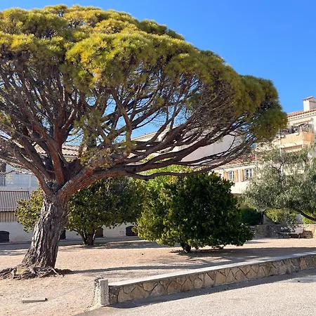 アパート L'impasse Azuree *